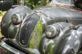 KDB_Autoskulpturenpark-9368