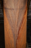JAM-Rost-02