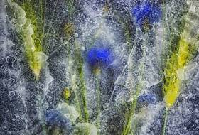 Bild 19