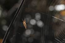 Altweibersommer-10_
