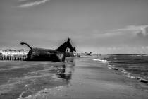 daenische-Nordsee-3