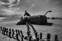 daenische-Nordsee-5