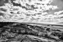 daenische-Nordsee-8