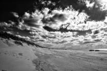 daenische-Nordsee-9
