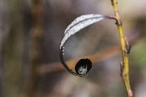 Schneeschmelze-11_
