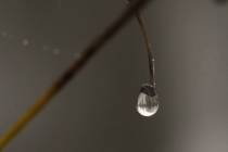 Schneeschmelze-13_