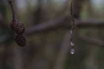 Schneeschmelze-3_
