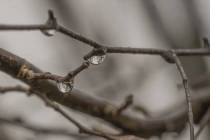 Schneeschmelze-5_