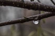 Schneeschmelze-6_