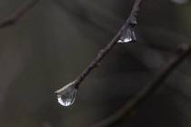 Schneeschmelze-7_