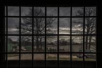 Windows-11