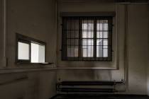 Windows-41
