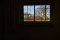 Windows-51