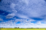 Emsland-Haverkamp