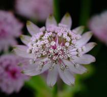 Botanischer_Garten-11