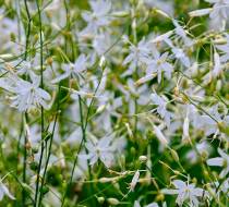 Botanischer_Garten-5
