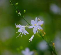 Botanischer_Garten-6