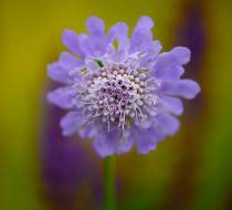 Botanischer_Garten-8