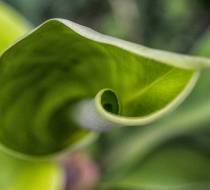 HSC_Botanischer-Garten-5