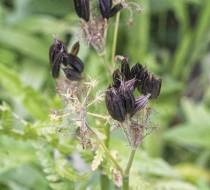 HSC_Botanischer-Garten-6