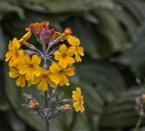 HSC_Botanischer-Garten-7