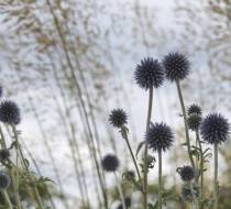 LEN_BotanischerGarten_2