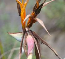 LEN_BotanischerGarten_5