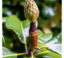 UEO_DSC04402_acr