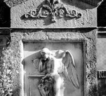 HSC_Hasefriedhof-2