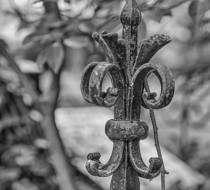 HSC_Hasefriedhof-4