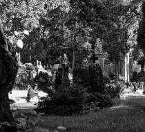 HSC_Hasefriedhof-6