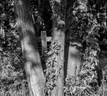 HSC_Hasefriedhof-7