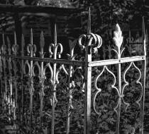 HSC_Hasefriedhof-9