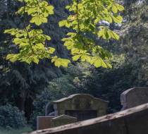 HVE-1-Hasefriedhof