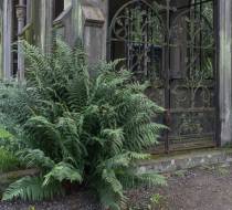 Hasefriedhof_2
