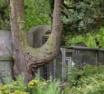 KDB-Hasefriedhof-2