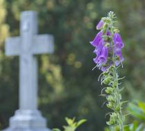 LEN_Hasefriedhof_4