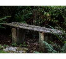 MVE_Hasefriedhof-09