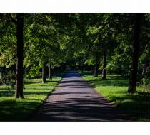 MVE_Hasefriedhof-10