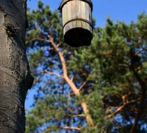 OTT_Friedhof_3