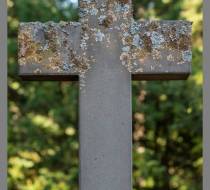 UEO_DSC04129_acr