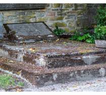 UEO_DSC04152_acr