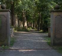 Bu╠êrgerpark_3