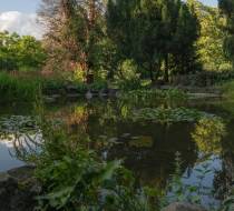 Bu╠êrgerpark_6