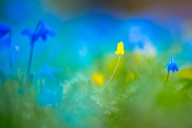 160413-6845