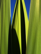 NEM-Farben-3