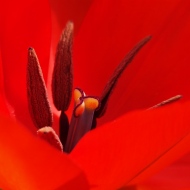 NEM-Farben-4