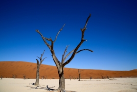 Namibia-373-von-739