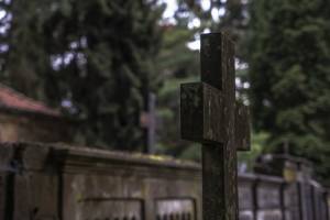 web_HSC_Hasefriedhof (6)_*