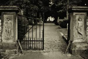 web_KDB_Hasefriedhof-_*